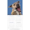 image Doggy Want A Treat 2026 Wall Calendar_ALT2