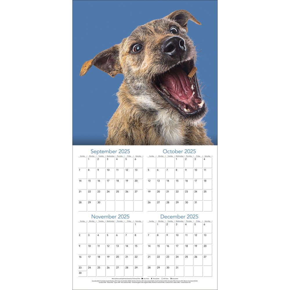 Doggy Want A Treat 2026 Wall Calendar_ALT2