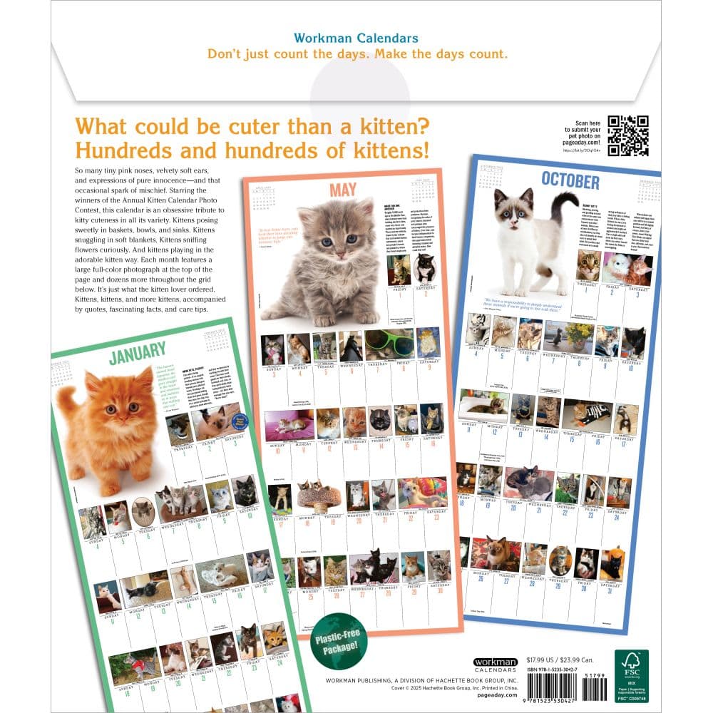 Kittens 365 Days 2026 Wall Calendar First Alternate Image