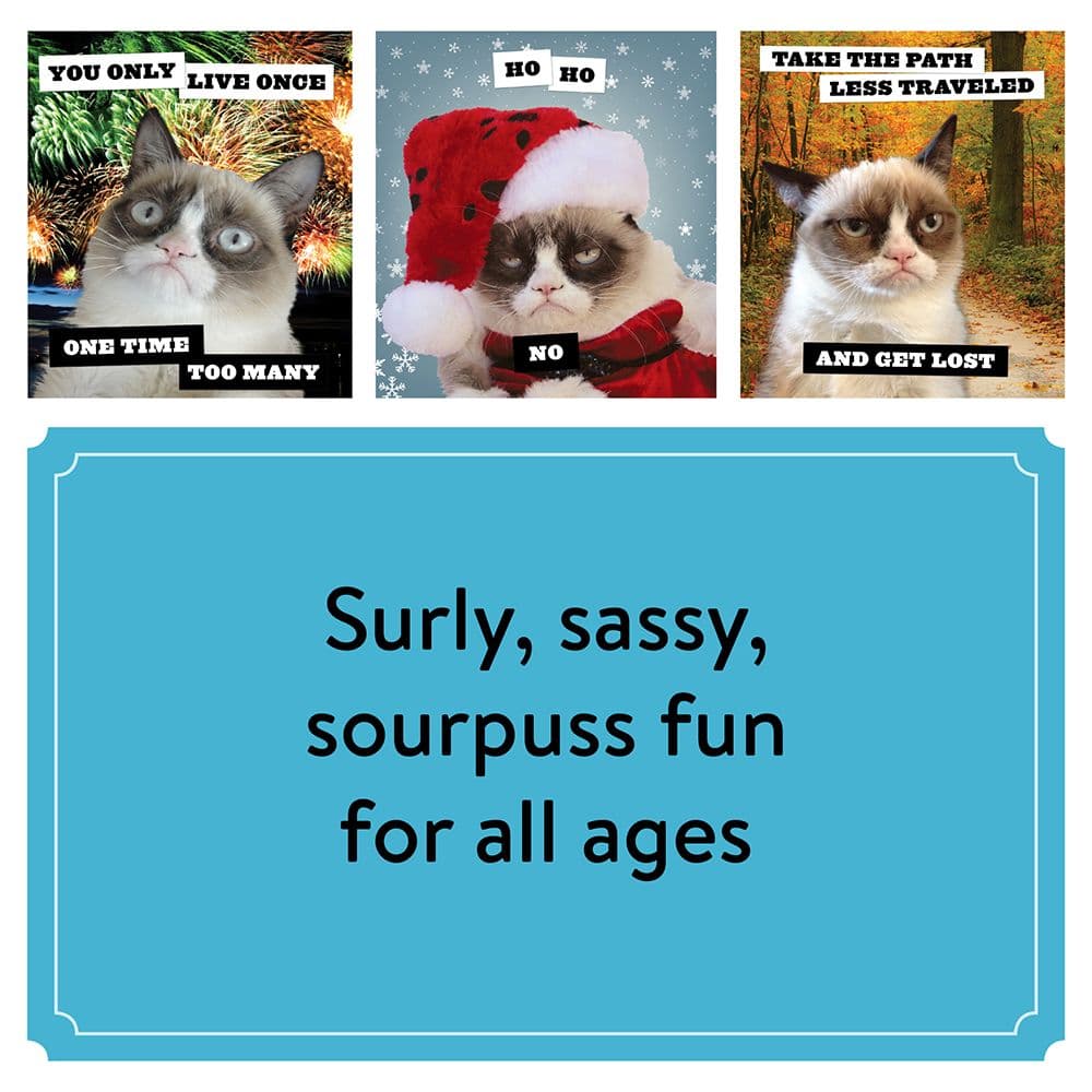 Grumpy Cat 2024 Wall Calendar