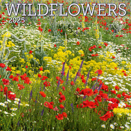 Wildflowers 2024 Wall Calendar