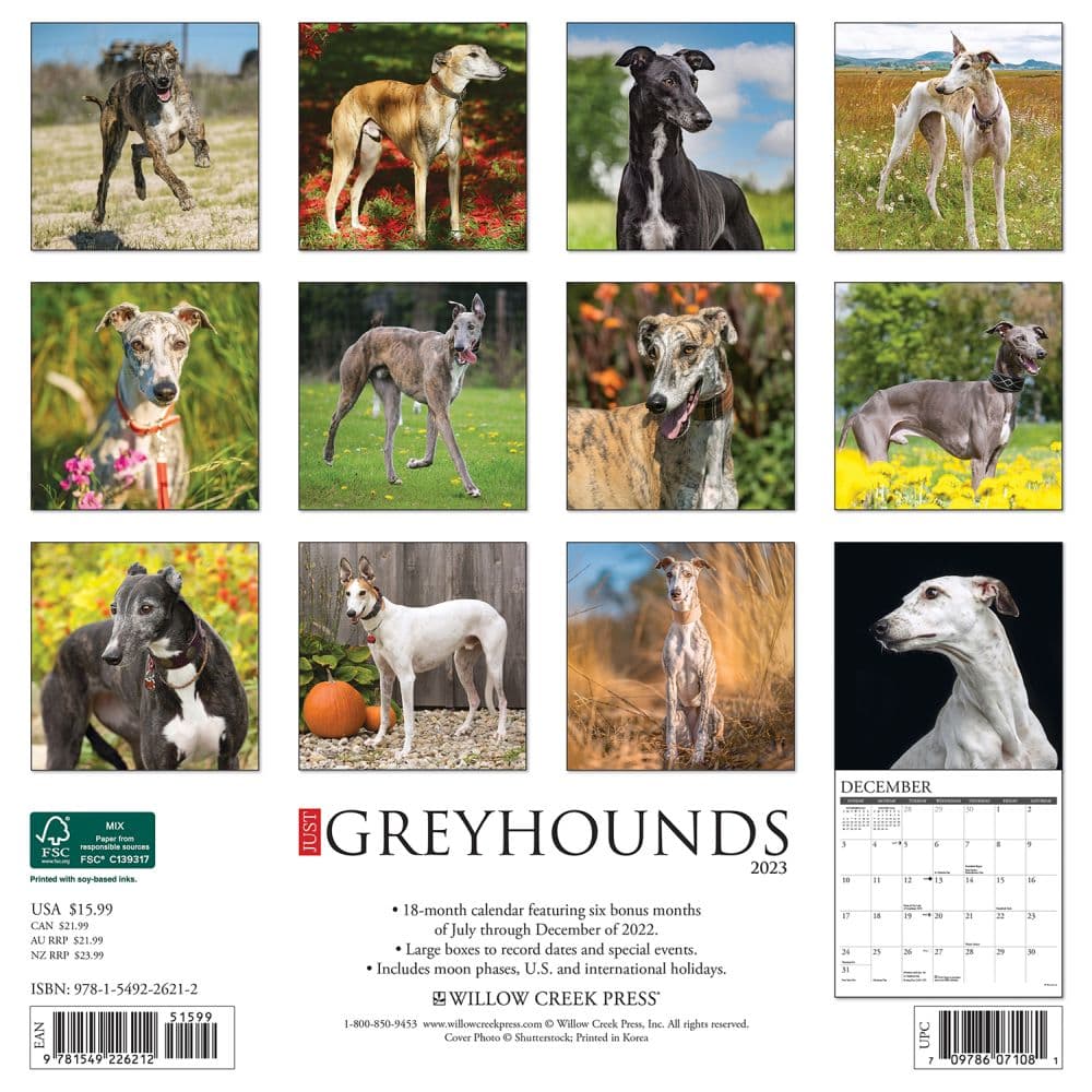 Greyhound 2023 Wall Calendar - Calendars.com