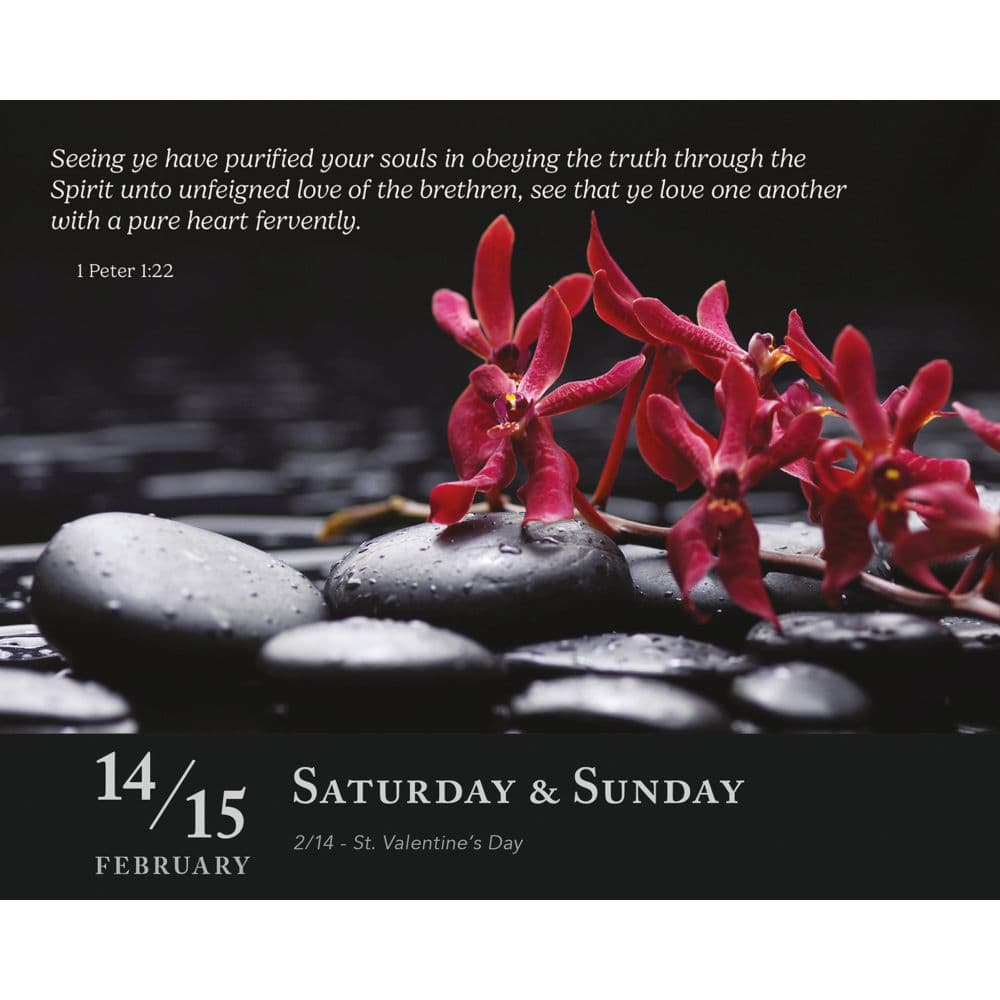 Daily Verse 2026 Desk Calendar Second Alternate Image