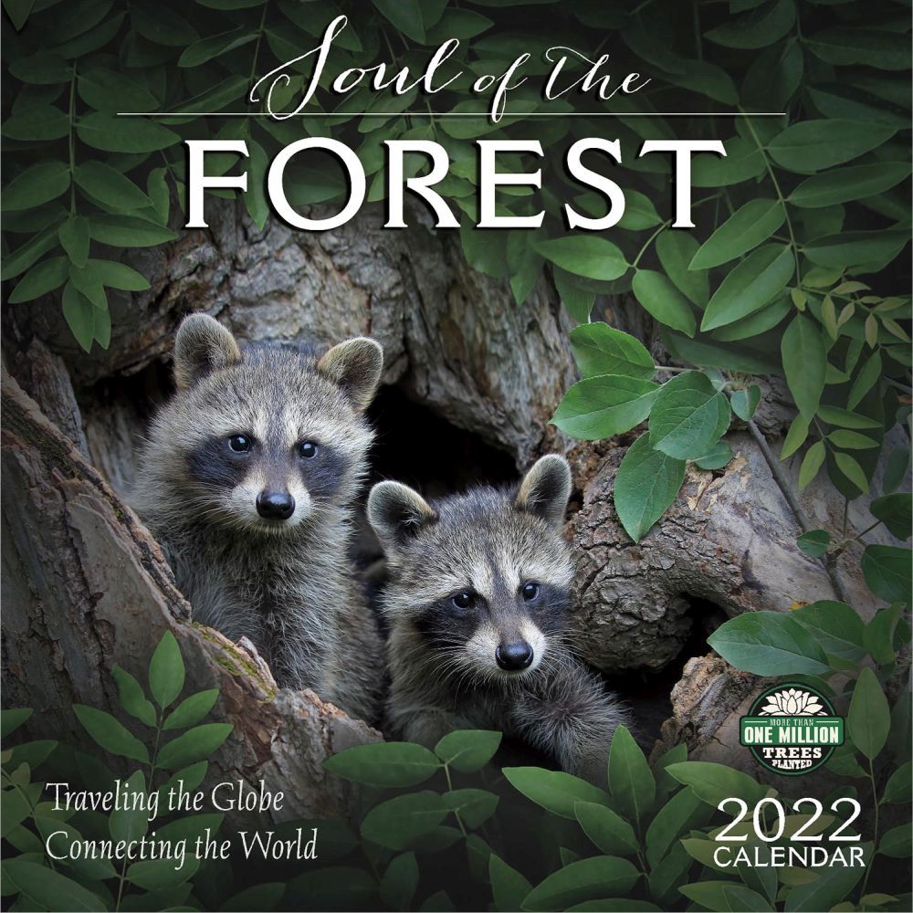 Soul of the Forest 2022 Wall Calendar