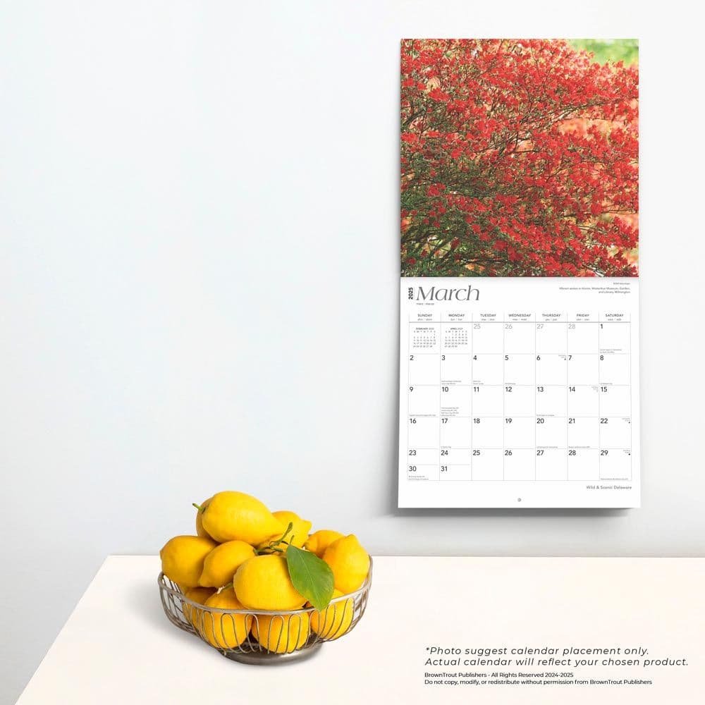 Delaware 2025 Wall Calendar Fourth Alternate Image