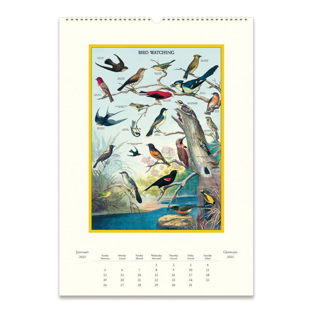 Birdwatching 2025 Wall Calendar First Alternate Image width="1000" height="1000"