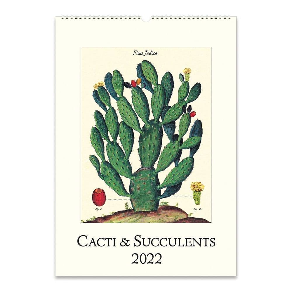 Succulent 2022 Poster Wall Calendar