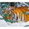 image Tigers WWF 2025 Wall Calendar Third Alternate Image width="1000" height="1000"