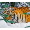 image Tigers WWF 2025 Wall Calendar Third Alternate Image width=&quot;1000&quot; height=&quot;1000&quot;