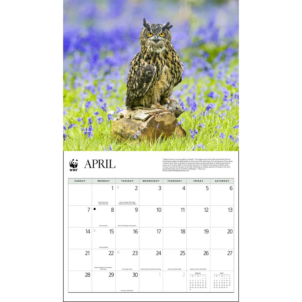 Owls WWF 2024 Wall Calendar - Calendars.com