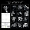 image Wild Portraits 2024 Wall Calendar Back Cover