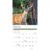 image White Tailed Deer 2025 Wall Calendar Second Alternate Image width=&quot;1000&quot; height=&quot;1000&quot;