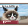 image Grumpy Cat 2025 Desk Calendar Second Alternate Image width=&quot;1000&quot; height=&quot;1000&quot;