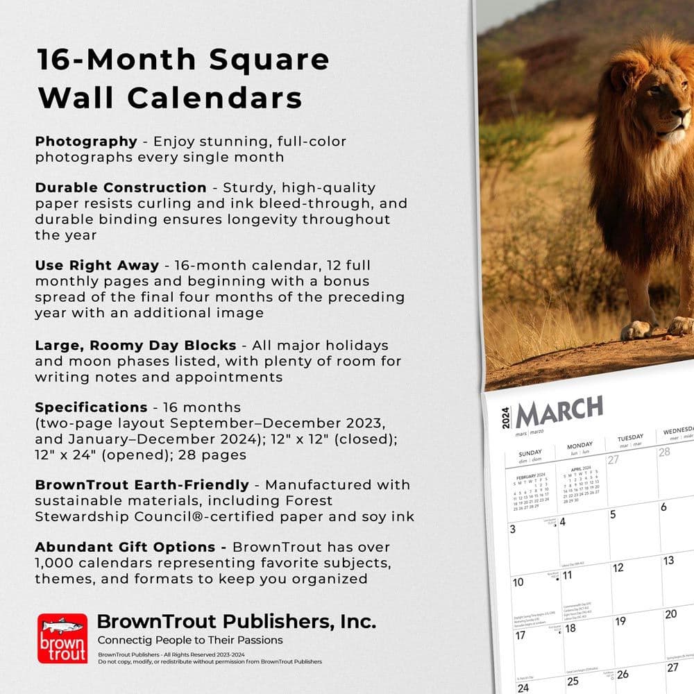 Lions 2024 Wall Calendar Calendars Com   450b375d 0aa0 4b43 Beb5 9d094aaf7409