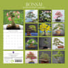 image Bonsai 2024 Wall Calendar First Alternate Image width=&quot;1000&quot; height=&quot;1000&quot;