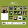 image Ferrets 2026 Wall Calendar First Alternate Image