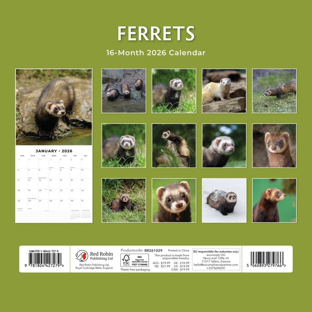 Ferrets 2026 Wall Calendar First Alternate Image