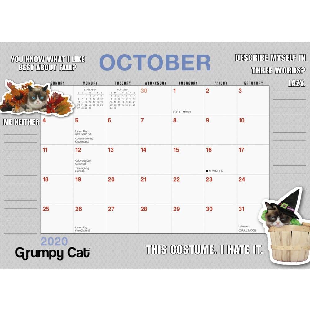 Grumpy Cat Desk Pad Calendar Calendars Com