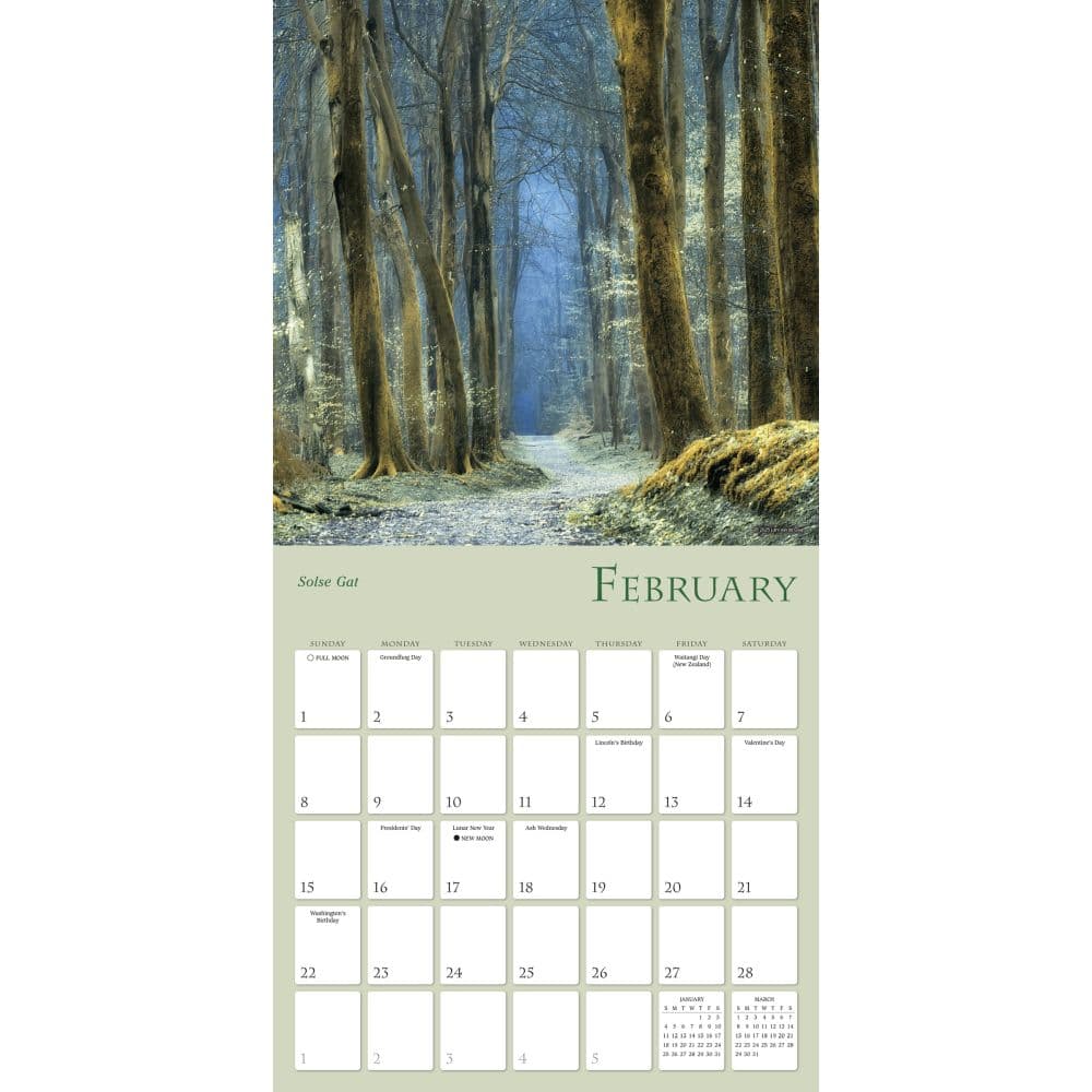 Enchanted Pathways Photography 2026 Wall Calendar Second Alternate Image