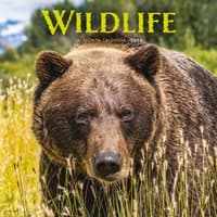 image Wildlife Special Value 2026 Wall Calendar Main Image