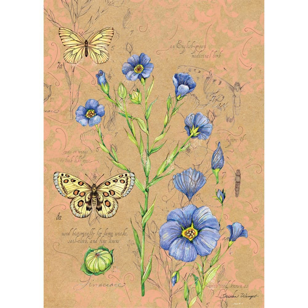 Kraft Field Guide 2-Pack Journal Set by Susan Winget