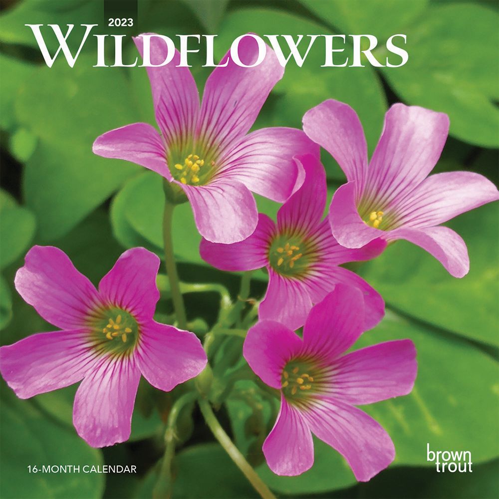 BrownTrout Wildflowers 2023 Mini Wall Calendar