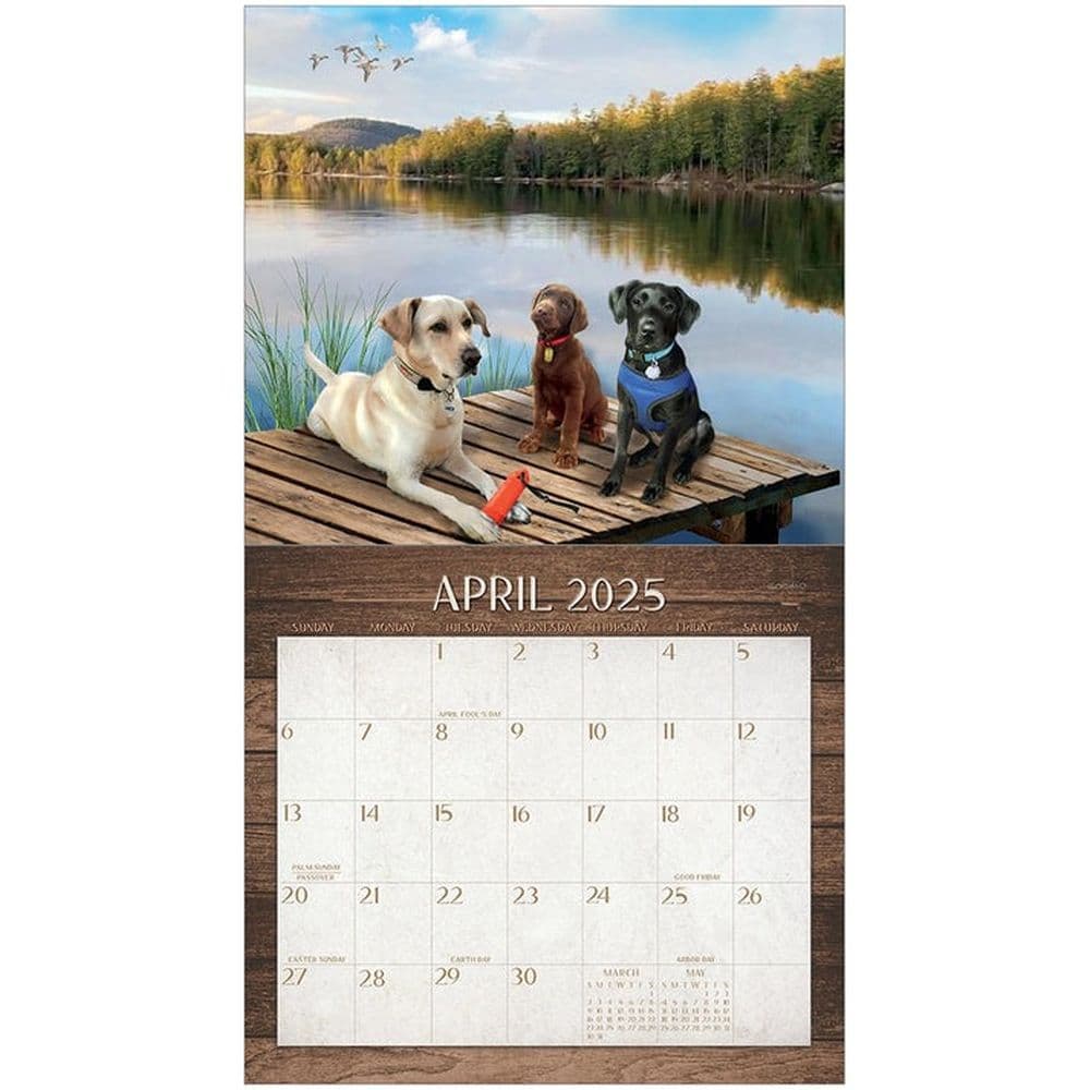 Labradors 2025 Wall Calendar Second Alternate Image width=&quot;1000&quot; height=&quot;1000&quot;