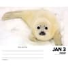 image Baby Animals 2025 Desk Calendar Second  Alternate Image