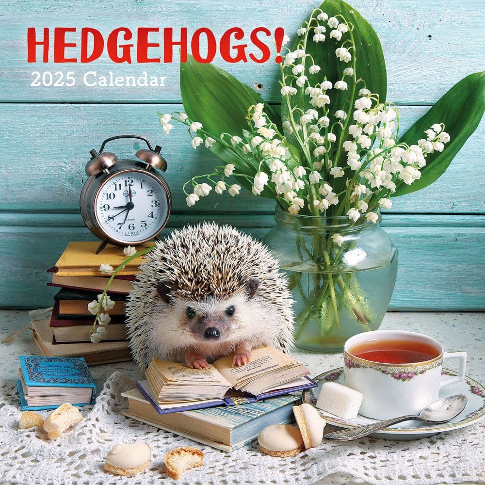 Hedgehogs 2025 Wall Calendar