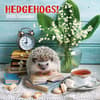 image Hedgehogs 2025 Wall Calendar Main Image