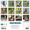 image Blue Heelers 2025 Wall Calendar First Alternate Image width="1000" height="1000"