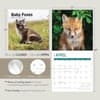 image Baby Foxes 2024 Wall Calendar Seventh Alternate Image width=&quot;1000&quot; height=&quot;1000&quot;