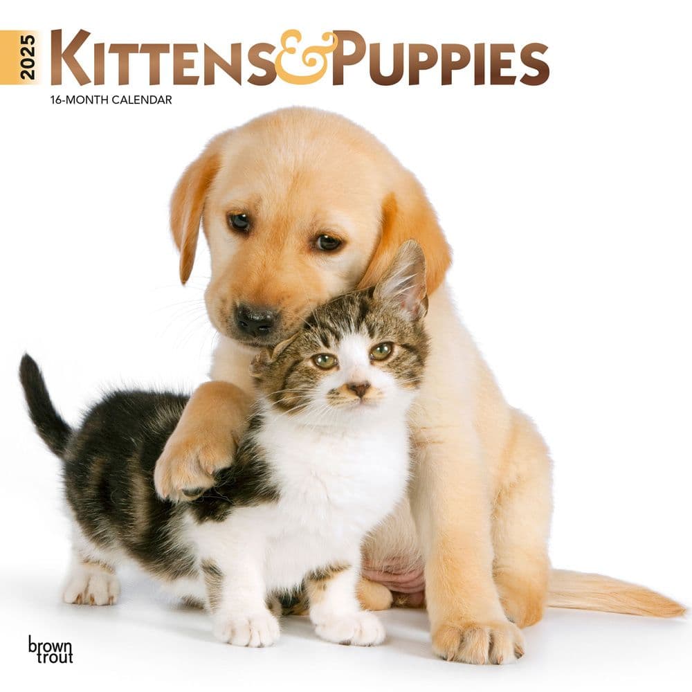 Kittens and Puppies 2025 Wall Calendar  Main Image