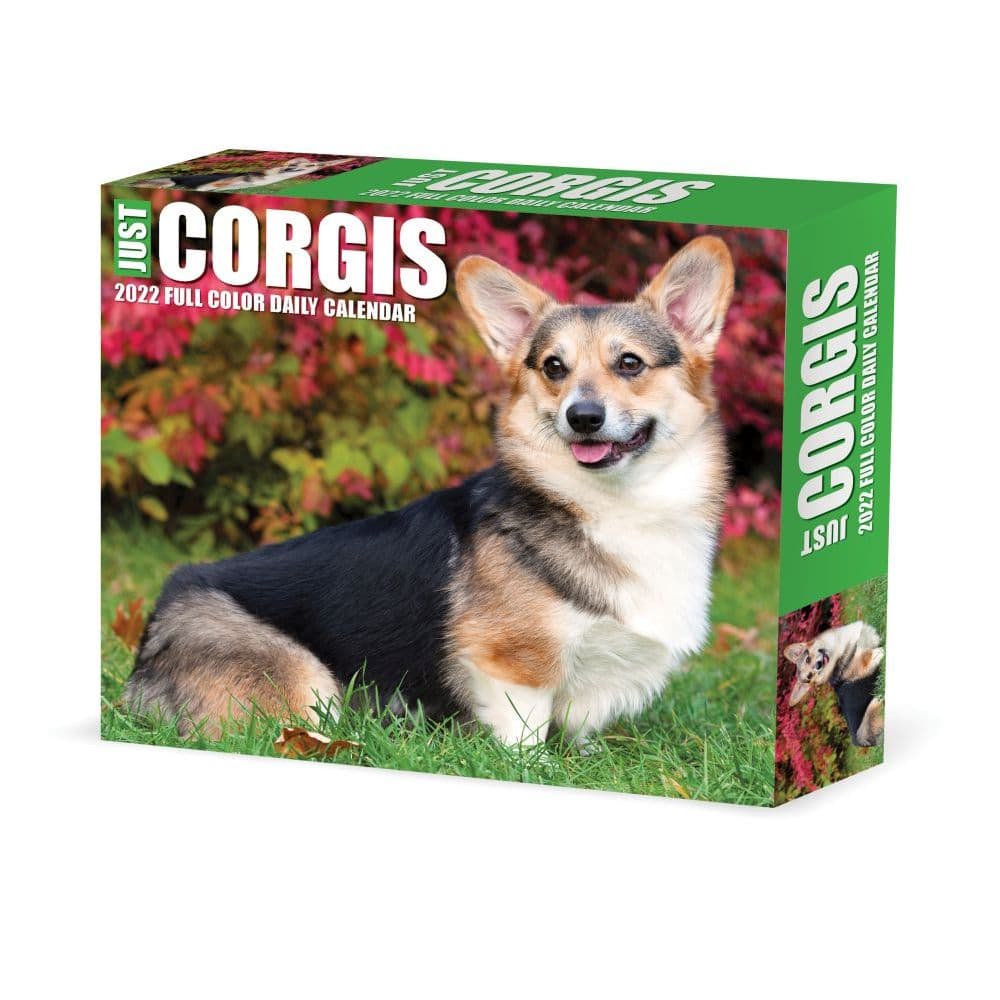 Just Corgis 2022 Desk Calendar