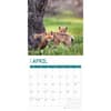 image Baby Foxes 2025 Wall Calendar Second Alternate Image width="1000" height="1000"