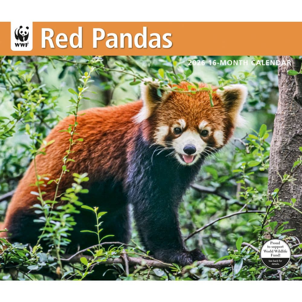 Red Pandas WWF 2026 Wall Calendar  Main Image