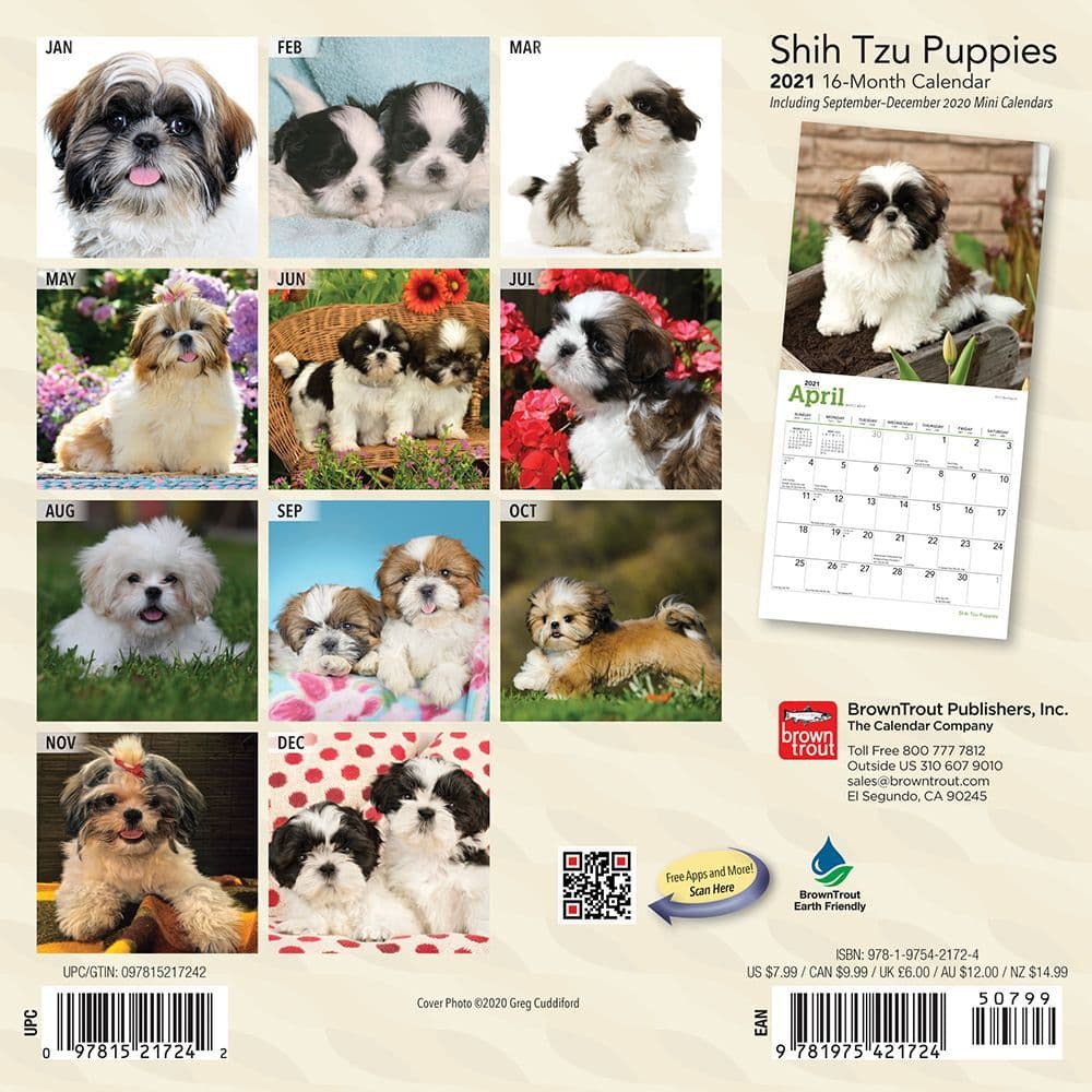 Shih Tzu Puppies Mini Calendar