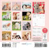 image Kittens and Puppies 2026 Mini Wall Calendar First Alternate Image