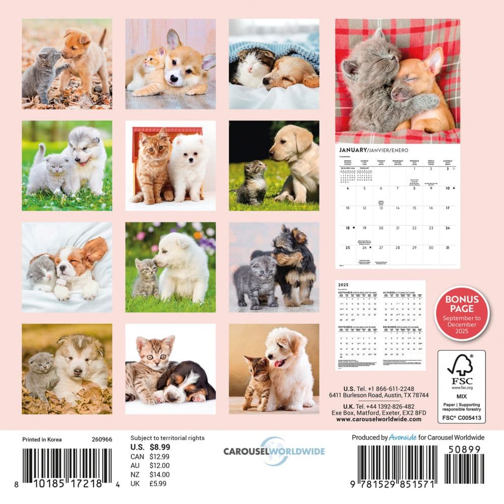 Kittens and Puppies 2026 Mini Wall Calendar First Alternate Image