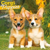 image Just Corgi Puppies 2026 Wall Calendar Main Product Image