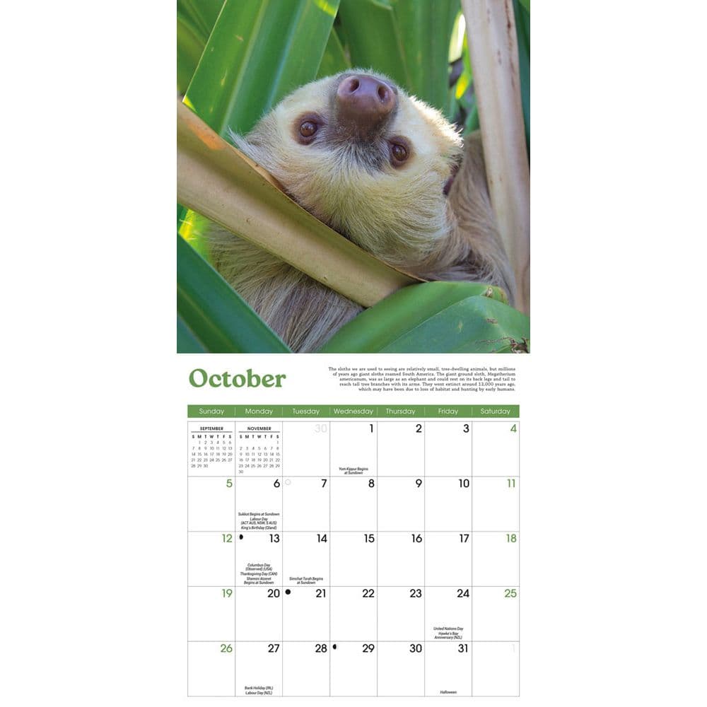 Sloths 2025 Mini Wall Calendar