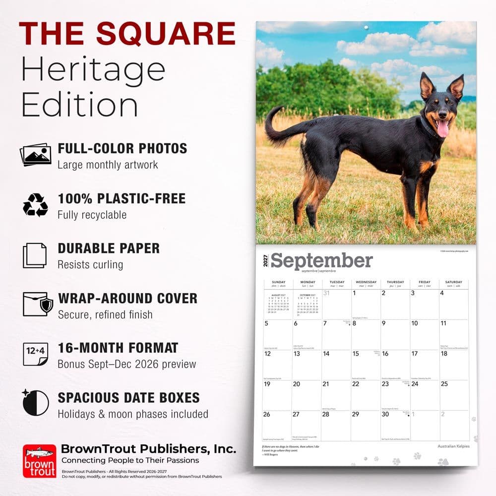 Australian Kelpies 2027 Wall Calendar Sixth Alternate Image
