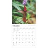 image Hummingbirds 2025 Wall Calendar Second Alternate Image