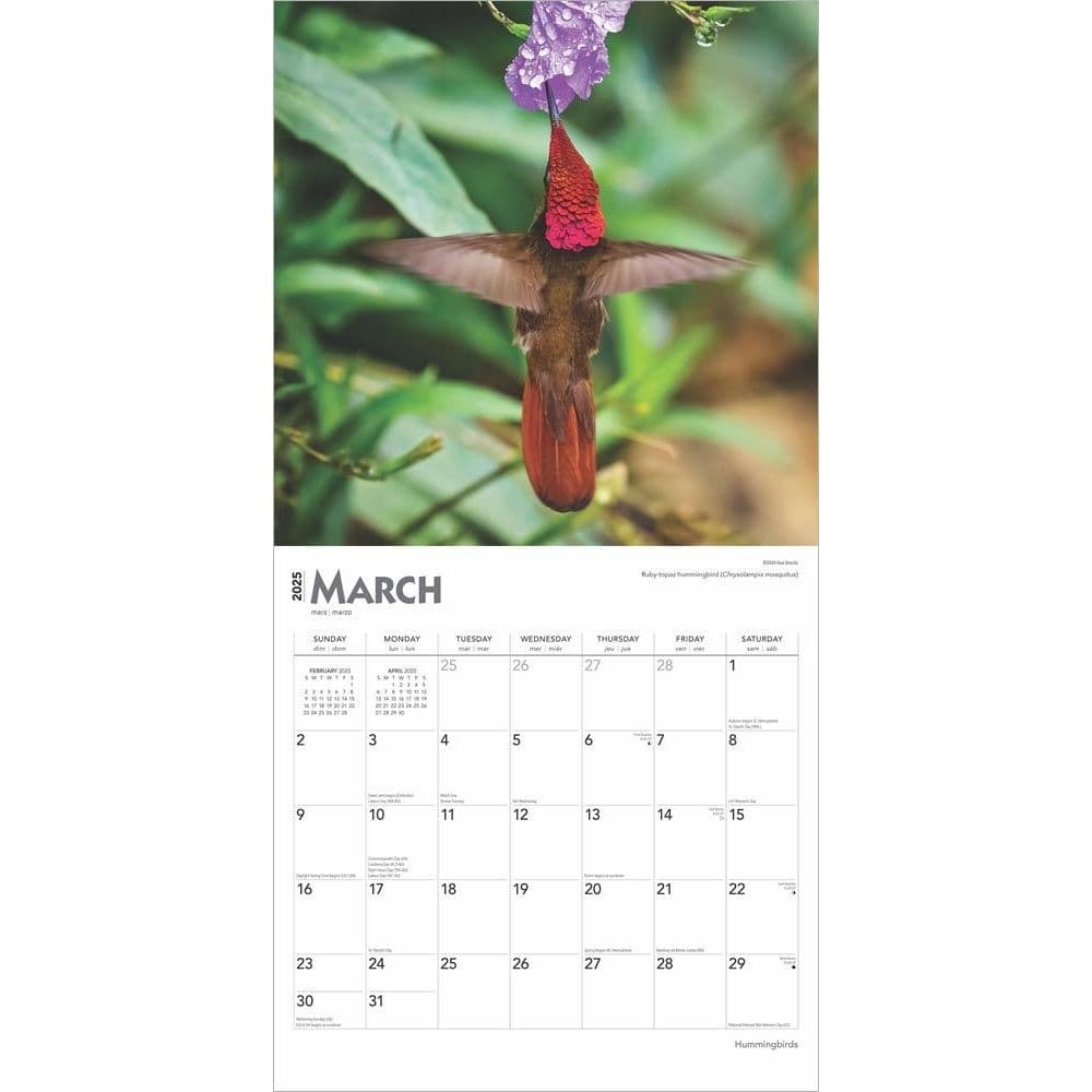 Hummingbirds 2025 Wall Calendar Second Alternate Image