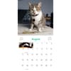 image Cats on Catnip 2024 Wall Calendar Alternate Image 4