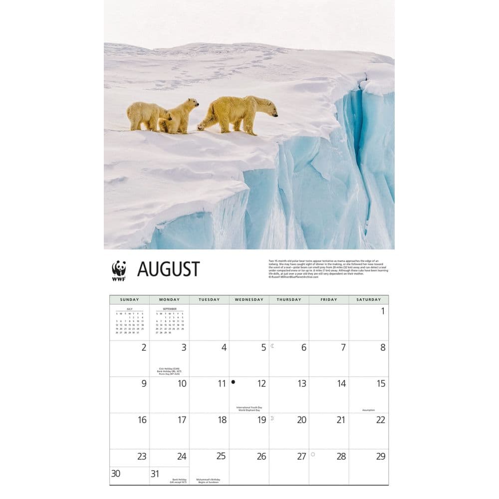 Polar Bears WWF 2026 Wall Calendar Third  Alternate Image