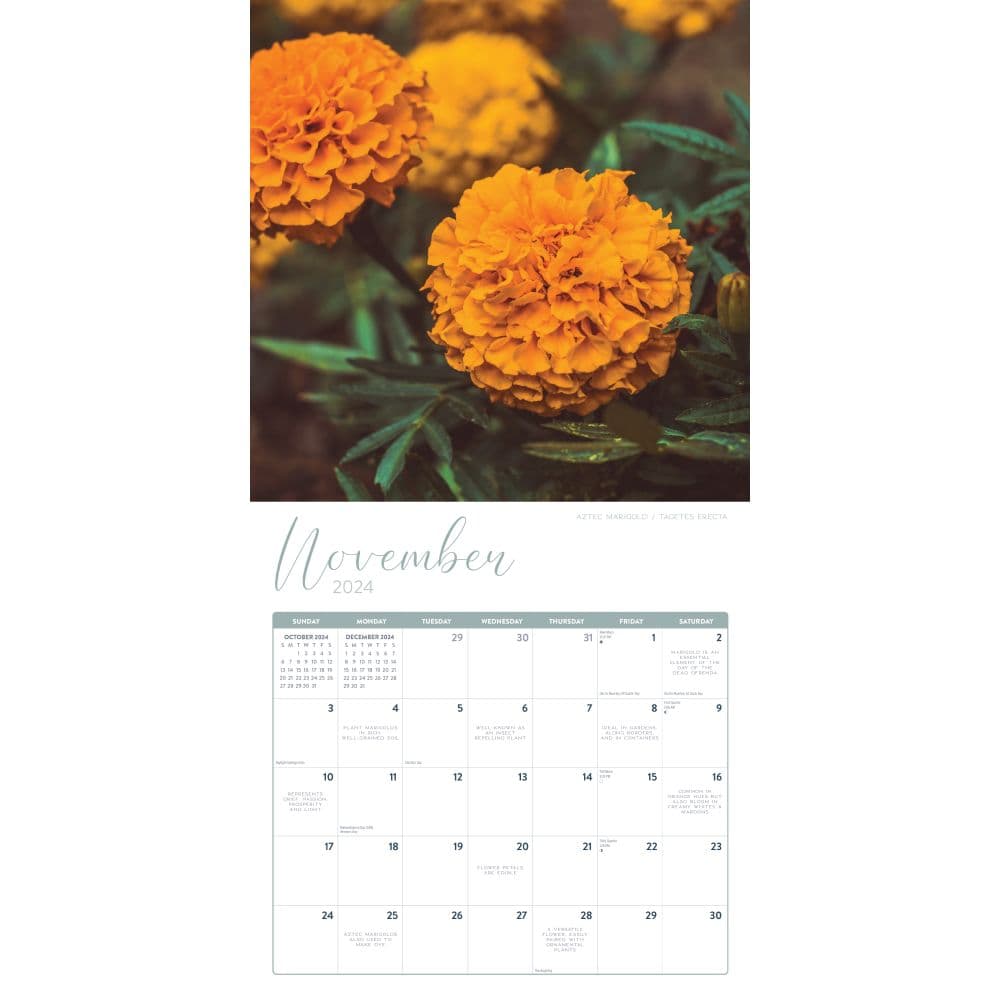 Flowers 2024 Wall Calendar