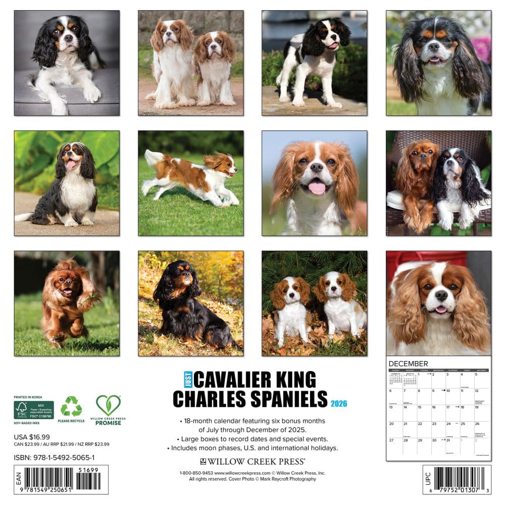 Just Cavalier King Charles 2026 Wall Calendar First Alternate Image