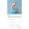 image Rabbits 2024 Wall Calendar Alternate Image 2