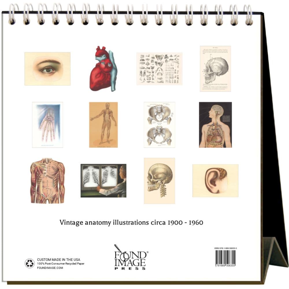 Anatomy 2025 Easel Desk Calendar First Alternate Image width=&quot;1000&quot; height=&quot;1000&quot;